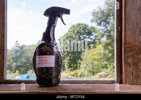 Une vieille bouteille de pulvérisation en plastique se tient sur le rebord de la vitre d'un abri de jardin, avec étiquette manuscrite "lessive liquide" de l'insecticide sur le côté il Banque D'Images