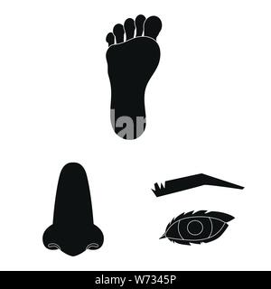 Vector illustration de corps et d'une partie sign. Ensemble de corps et l'anatomie stock vector illustration. Illustration de Vecteur