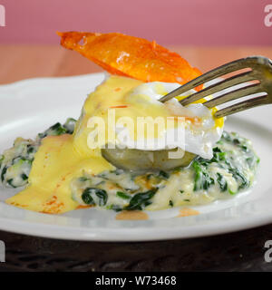 Oeufs Sardou - un œuf poché servi sur un fond d'artichaut sur un lit d'épinards à la crème, garni de sauce hollandaise et une peau de tomate frite en garniture. Banque D'Images