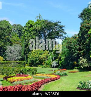 Magnifique parc tropical avec des fleurs, pelouses et arbres Banque D'Images