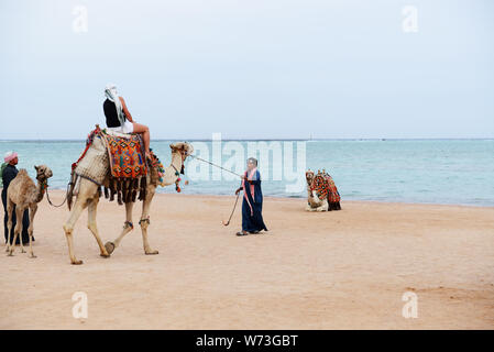 Charm el Cheikh, EGYPTE - le 29 novembre : l'rides camel sur la plage avec l'aide de l'homme égyptien le 29 novembre 2013 à Charm el-Cheikh, en Egypte. Jusqu't Banque D'Images