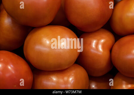 De nombreuses tomates rouges éparpillés sur la table. Groupe des tomates. Banque D'Images