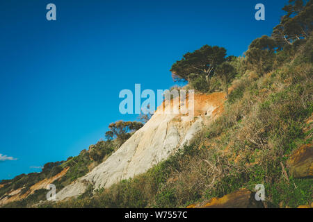 L'érosion des falaises et la végétation indigène sur Olivers Hill à Frankston, Victoria, Australie Banque D'Images