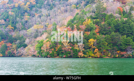 Vue sur lac Yunoko en saison d'automne au parc national de Nikko, Nikko, Tochigi, au Japon. Banque D'Images