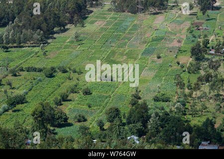 Un patchwork d'agriculteurs domaine vu du Mahi Mahiu Longonot View Point, sur A104 Nakuru - Nairobi road. La Vallée du Rift, au Kenya. Banque D'Images