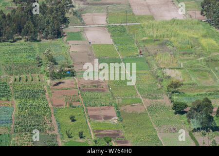 Un patchwork d'agriculteurs domaine vu du Mahi Mahiu Longonot View Point, sur A104 Nakuru - Nairobi road. La Vallée du Rift, au Kenya. Banque D'Images