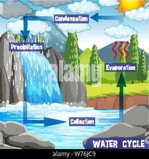 Processus du cycle de l'eau sur Terre - illustration scientifique Illustration de Vecteur