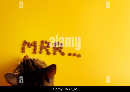Nourriture Pour Chat Sur Fond Jaune Dans Parole De Chat Ronronnant Mrr Top View Cat Vole La Nourriture Photo Stock Alamy