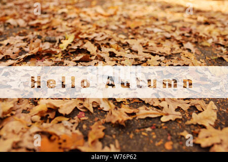 L'inscription Bonjour l'automne sur l'arrière-plan de feuilles jaunes. Banque D'Images