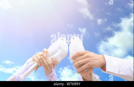 Pigeons sur le mariage dans les mains des jeunes Banque D'Images