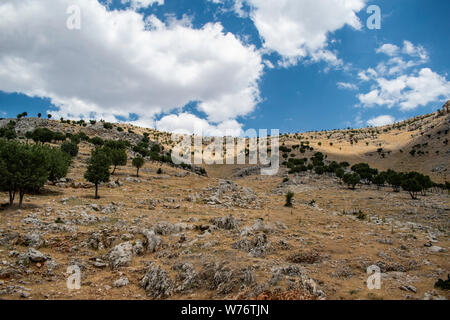 Turquie : la route vers le haut de Nemrut Dagi sur dont le sommet en 62 BCE Le Roi Antiochus Theos de Commagène je construit un tombeau-sanctuaire flanquée par d'immenses statues Banque D'Images