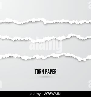 Ensemble de bandes horizontales de papier déchiré sans couture avec l'ombre. Texture papier endommagé avec edge. Vector illustration Illustration de Vecteur
