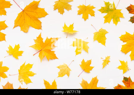 Automne fond avec feuilles d'érable jaune tombant au hasard Banque D'Images