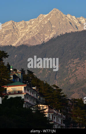 Lumière du matin brille sur guest maisons perchées sur une colline juste en dessous de la montagnes Dhauladhar, McLeodganj, District Kangra, Nord de l'Inde, l'Asie. Banque D'Images