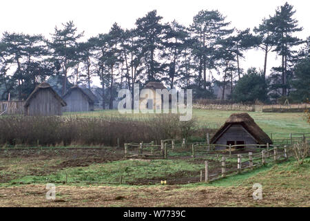 Reconstruction d'un village anglo-saxon de West Stow. Banque D'Images