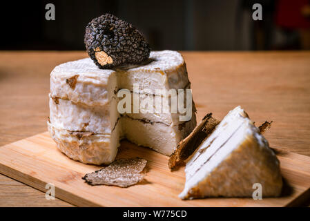 Bragelogne Beauvoir (nord-est de la France) : la truffe de Bourgogne. La truffe de Bourgogne est partie de la même famille que la truffe du Périgord noir. La cuisson Banque D'Images