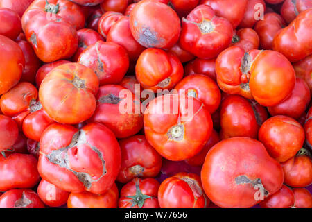Les tomates rouges frais laid au marché agricole local. Close-up de tomates sur l'affichage en magasin. Ugly tomates, tomates spécial jardin. Banque D'Images