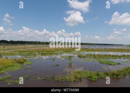 Une entrée de fourche mashy Lake dans le comté de pluies, à l'est de Dallas au nord-est du Texas Description physique : 1 photographie : numérique, tiff, la couleur. Notes : don ; l'Lyda Hill Foundation ; 2014 ; (DLC/PP-2014:054.) ; titre, date et mots-clés basés sur les informations fournies par le photographe. ; fait partie de : Lyda Hill Texas Collection de photographies dans l'Amérique de Carol M. Highsmith dans le projet Carol M. Highsmith Archive. ; Banque D'Images