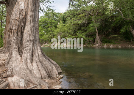 Une paisible partie de la Guadalupe River au nord de New Braunfels dans Comal Comté (Texas) Description physique : 1 photographie : numérique, tiff, la couleur. Notes : Titre, date et mots-clés basés sur les informations fournies par le photographe. ; Don ; l'Lyda Hill Foundation ; 2014 ; (DLC/PP-2014:054). ; fait partie de : Lyda Hill Texas Collection de photographies dans l'Amérique de Carol M. Highsmith dans le projet Carol M. Highsmith Archive. ; Banque D'Images