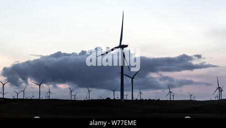 Une ferme éolienne au large de la Californie Rt. 12 près de Rio Vista en comté de Solano, en Californie Description physique : 1 photographie : numérique, tiff, la couleur. Notes : Titre, date et mots-clés fournis par le photographe. ; Banque D'Images