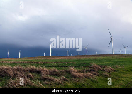 Une ferme éolienne au large de la Californie Rt. 12 près de Rio Vista en comté de Solano, en Californie Description physique : 1 photographie : numérique, tiff, la couleur. Notes : Titre, date et mots-clés fournis par le photographe. ; Banque D'Images