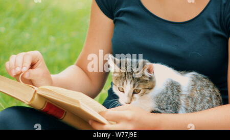 Détail fille lit un livre avec un chaton jouant avec des pages du livre Banque D'Images