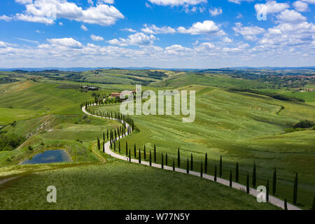 Des collines de Toscane, Italie, sous le soleil d'été. Ligne de cyprès, un chemin de terre menant à un petit ensemble de maisons profondément dans le Comte Banque D'Images