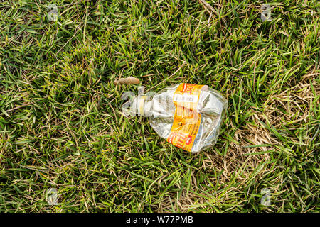 La litière en plastique sur l'herbe. Florianopolis, Santa Catarina, Brésil. Banque D'Images