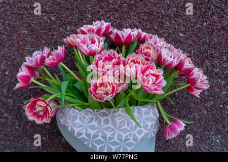 Un bouquet de rose rouge blanc pivoine double tulipes dans un emballage moderne gris sur fond rouge. Heureuse fête des mères. La journée internationale de la femme. Banque D'Images