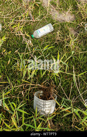 La litière en plastique sur l'herbe. Florianopolis, Santa Catarina, Brésil. Banque D'Images