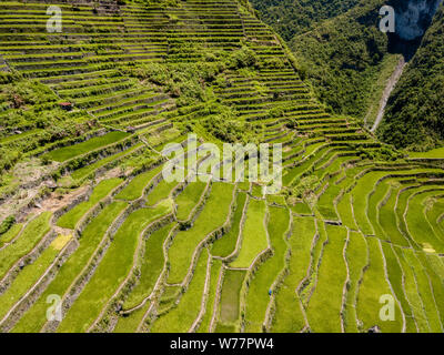 Drone aérien vue du riz terrasses à Batad spectaculaire aux Philippines Banque D'Images