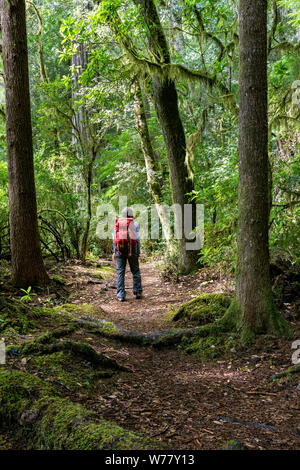 CA03461-00...CALIFORNIE - Randonneur sur le sentier en Jediah Hiouchi Smith Redwoods State Park. M.# S1 Banque D'Images