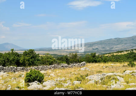 Alpes dinariques typique paysage kras avec murs en pierre sèche. Banque D'Images