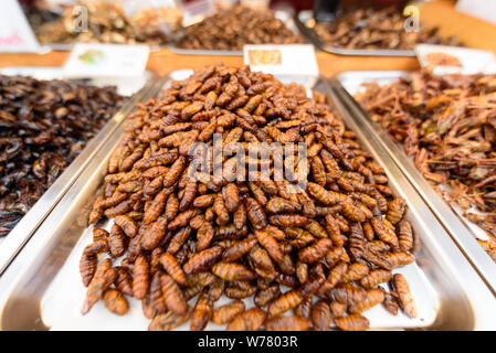 Beaucoup de Ponderosa fried worms dans le bac Banque D'Images