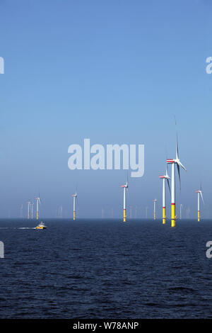 L'énergie éolienne off-shore. L'énergie verte d'Arkona parc éolien offshore en mer Baltique. Banque D'Images