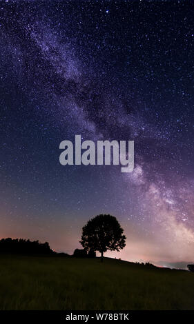 Voie Lactée avec lonely tree sur la colline. Paysage avec nuit ciel étoilé et lonely tree à l'avant. Banque D'Images