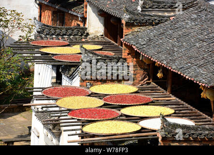 Piments, maïs, graines de thé, chrysanthèmes, les kakis, et d'autres récoltes sont séchées sur les toits et les racks sous le soleil à Huangling, village Banque D'Images