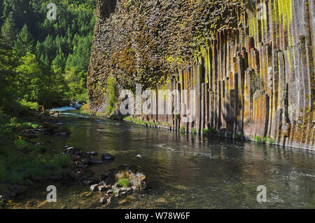 Ou : Le comté de Douglas, Cascades, Soda Springs colonnes de basalte. L'Umpqua River du nord passe sous une falaise d'orgues basaltiques Banque D'Images