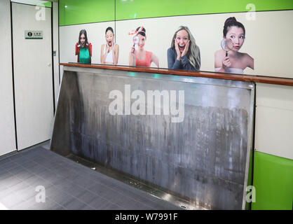 Afficher des images de belles femmes collées sur le mur à côté de l'urinoir à un "cinq étoiles", les toilettes publiques dans la ville de Shenyang, Liaoning, du nord-est de la Chine Banque D'Images