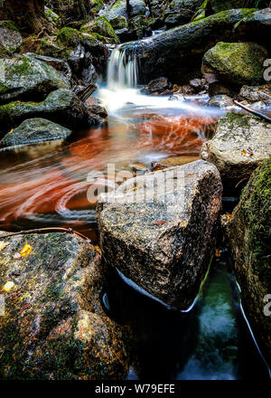 Petite cascade dans la forêt Banque D'Images