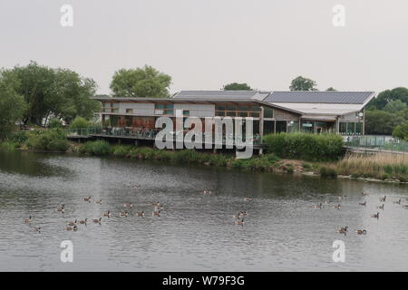 Réserve naturelle d'Attenborough Nottingham Banque D'Images