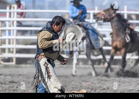 Saddle bronc rider au Brocket, la Nation Piikani Rodeo, Alberta Canada Banque D'Images