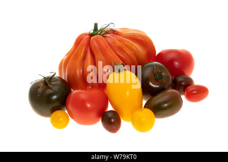 Diverses variétés de tomates - Fond blanc Banque D'Images