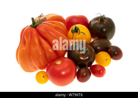 Diverses variétés de tomates - Fond blanc Banque D'Images