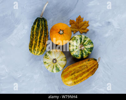 Thanksgiving Day journée composition de légumes et fruits sur fond gris. Concept la récolte d'automne. Les citrouilles, les poires, les prunes, les pommes de table, vue d'en haut, Banque D'Images