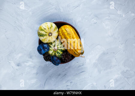 Thanksgiving Day journée composition de légumes et fruits sur fond gris. Concept la récolte d'automne. Les citrouilles, les poires, les prunes, les pommes de table, vue d'en haut, Banque D'Images