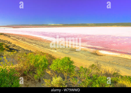 Pink Lake belvédère au-dessus de Salt Lake à Gregory, Australie occidentale. Vue aérienne de Hutt Lagoon de couleur rose pour la présence d'algues. Populaire Banque D'Images