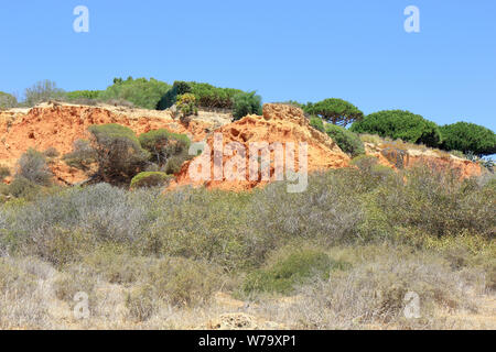 De l'herbe sèche et rouge des falaises rocheuses dans le Caminho da Baleeira nature reserve Banque D'Images