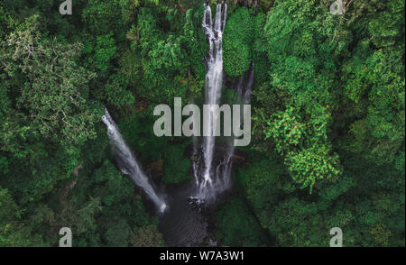 Vue aérienne de célèbres cascades Sekumpul à Bali, Indonésie. Jungle Tropical Rainforest Banque D'Images