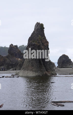 Niveaux de gris : Gris overtones consommer Ruby beach dans l'état de Washington. Banque D'Images